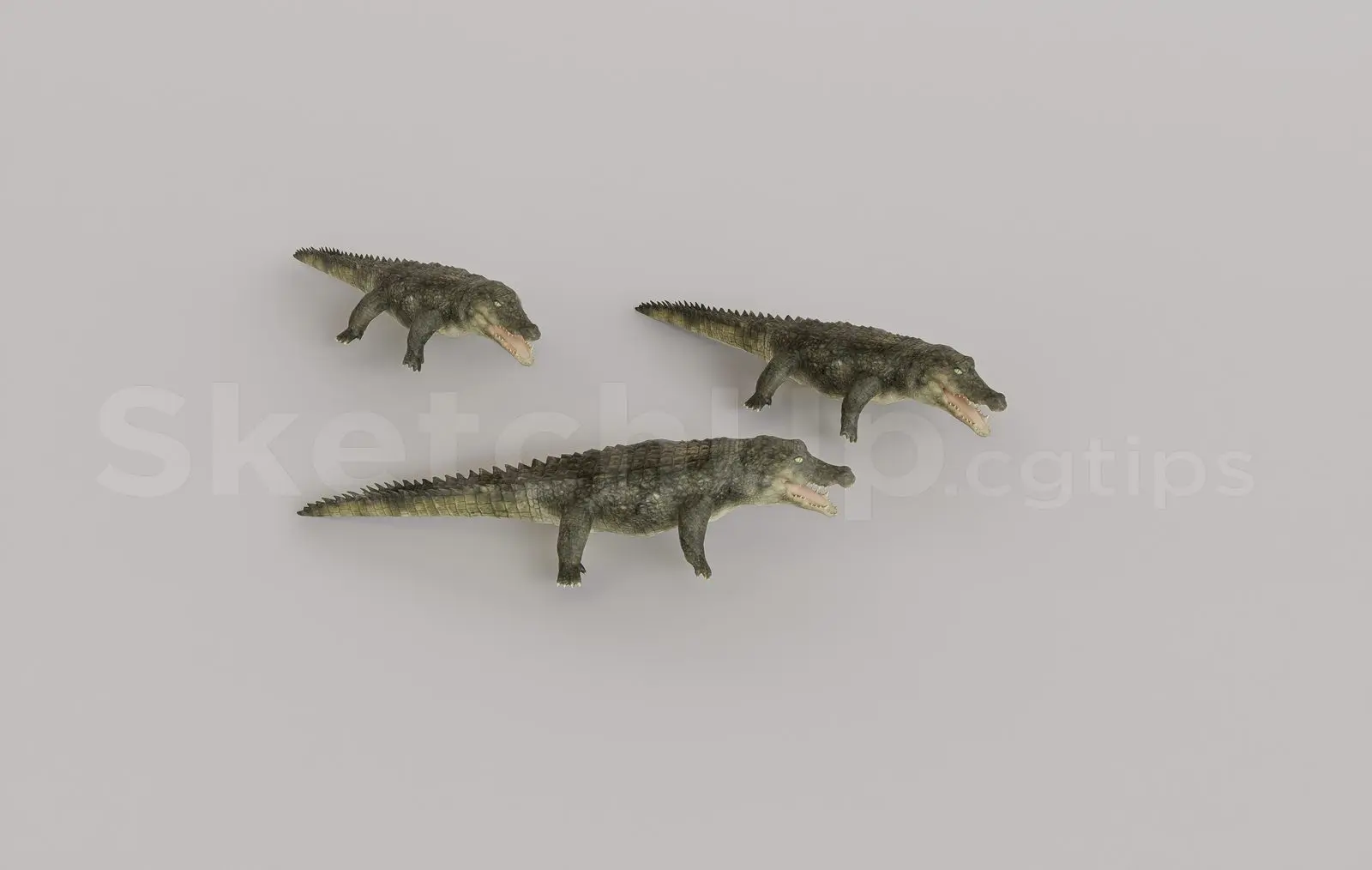 Animal — preview 1 (cgtips)