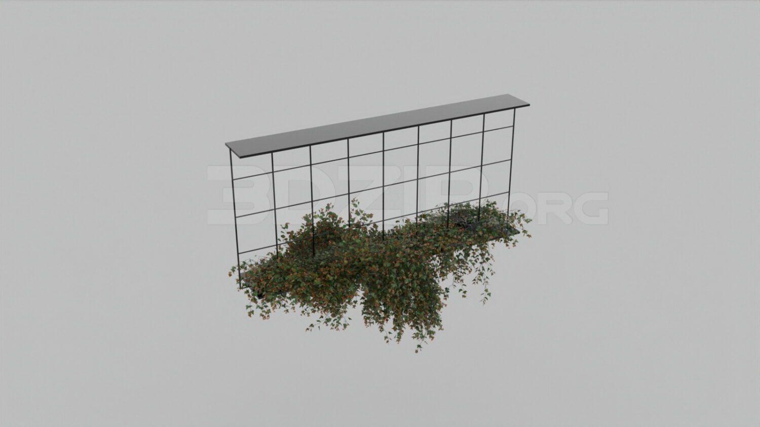 Plant