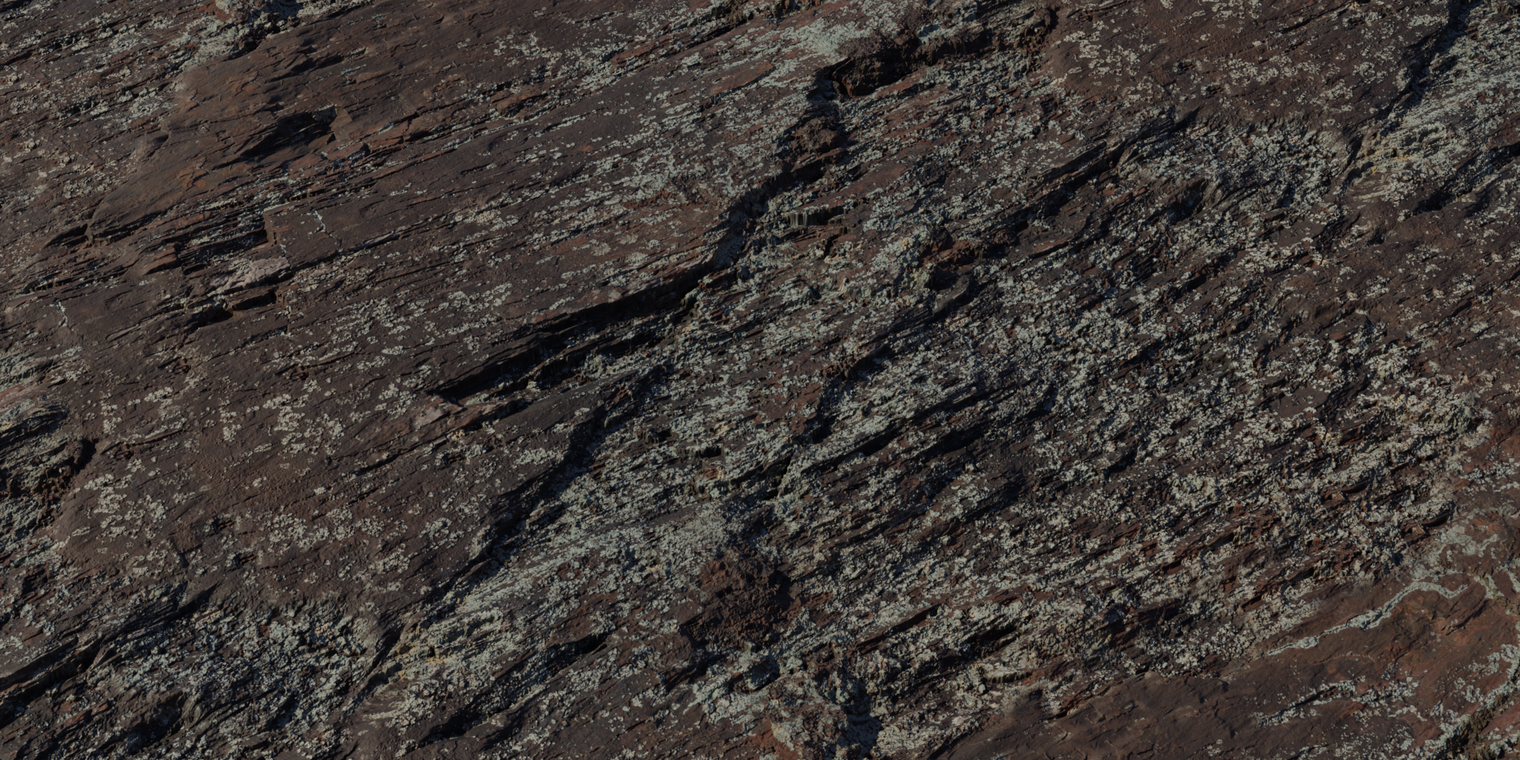 Lichen Rock
