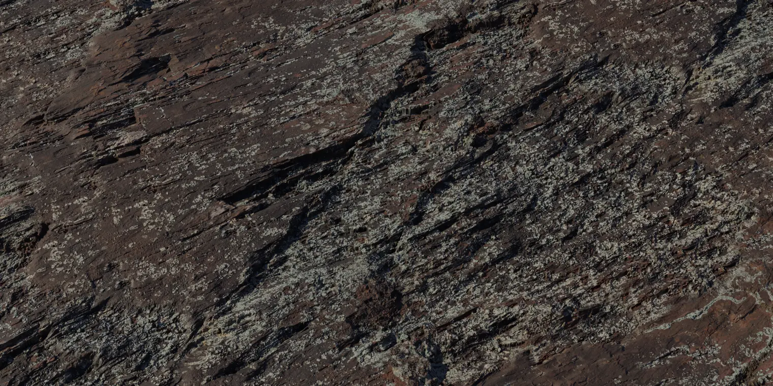 Lichen Rock — preview 1, by Rico Cilliers (Poly Haven, CC0)