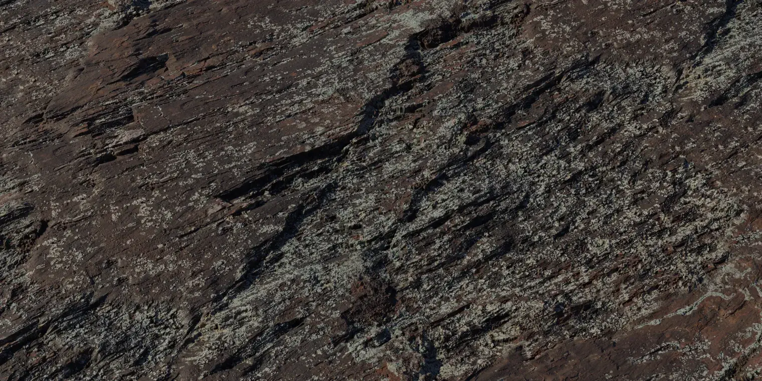 Lichen Rock