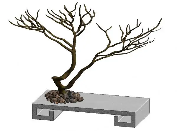 Zen Planting Garden