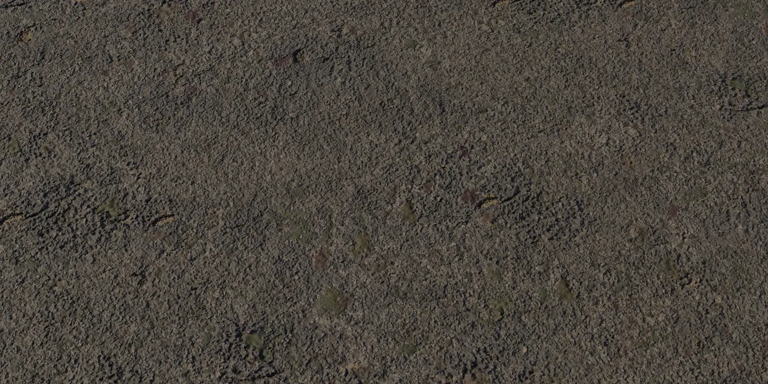 Coast Sand 5