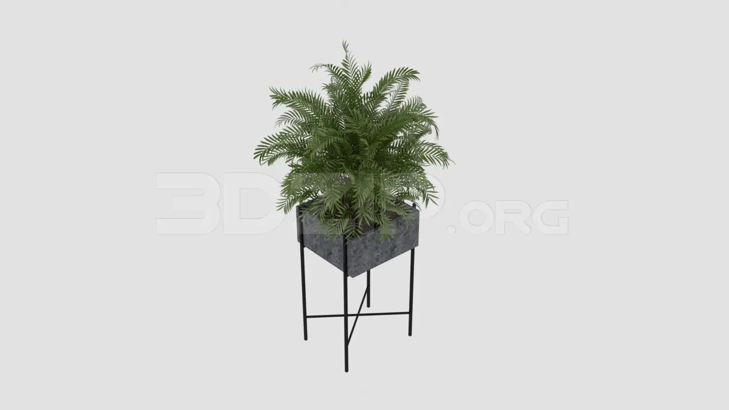 Plant