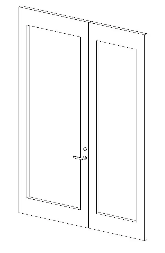 Curtain Wall - Swinging Pair Doors