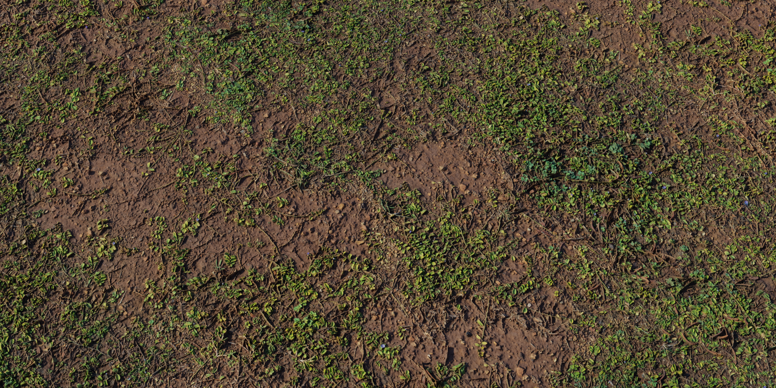 Brown Mud Leaves 1
