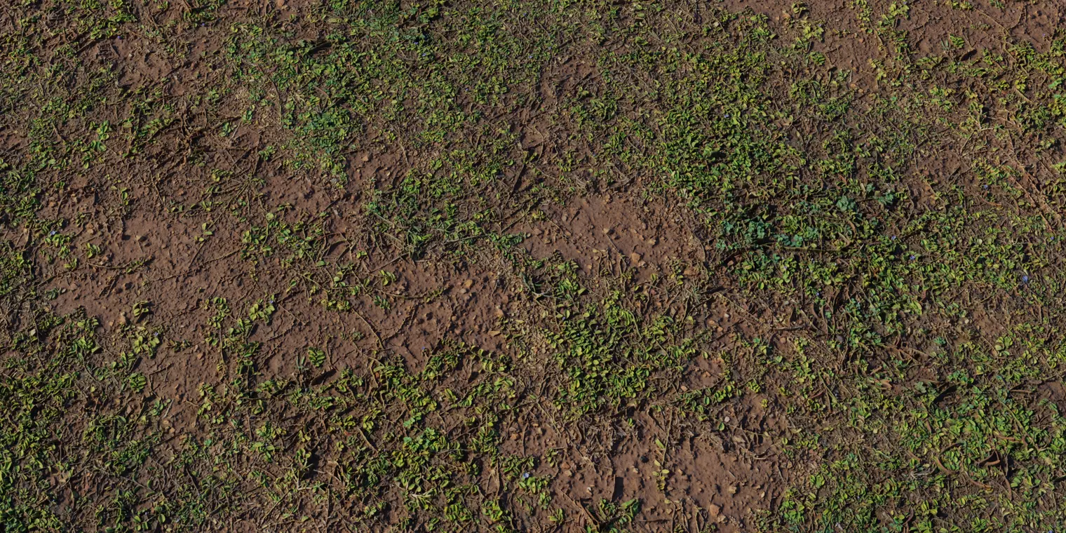 Brown Mud Leaves 1
