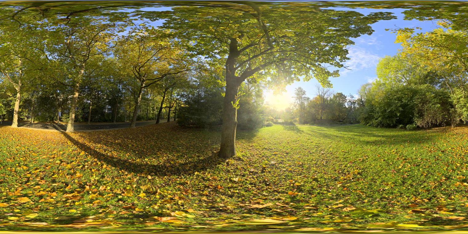 Sunny Vondelpark