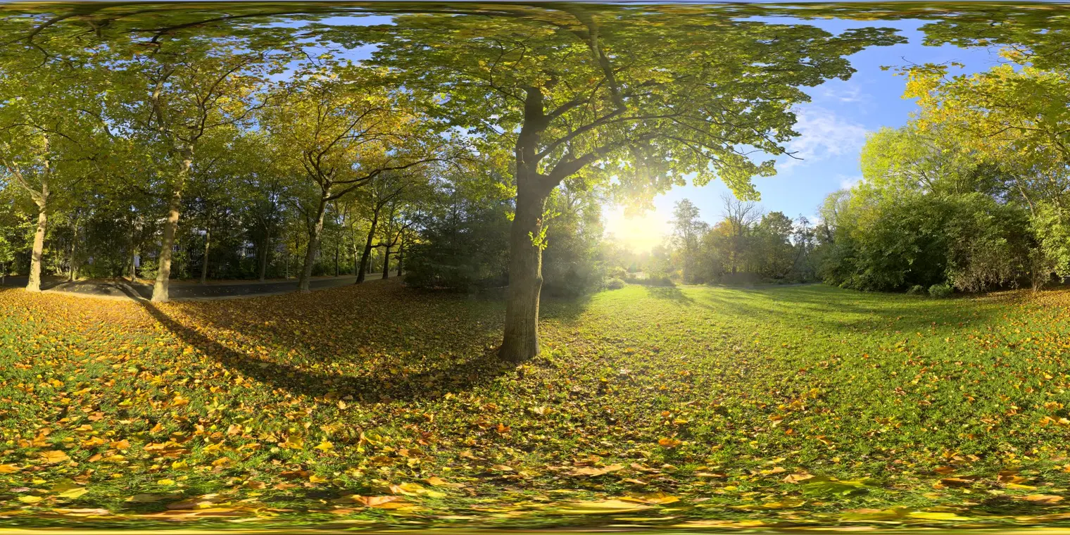 Sunny Vondelpark