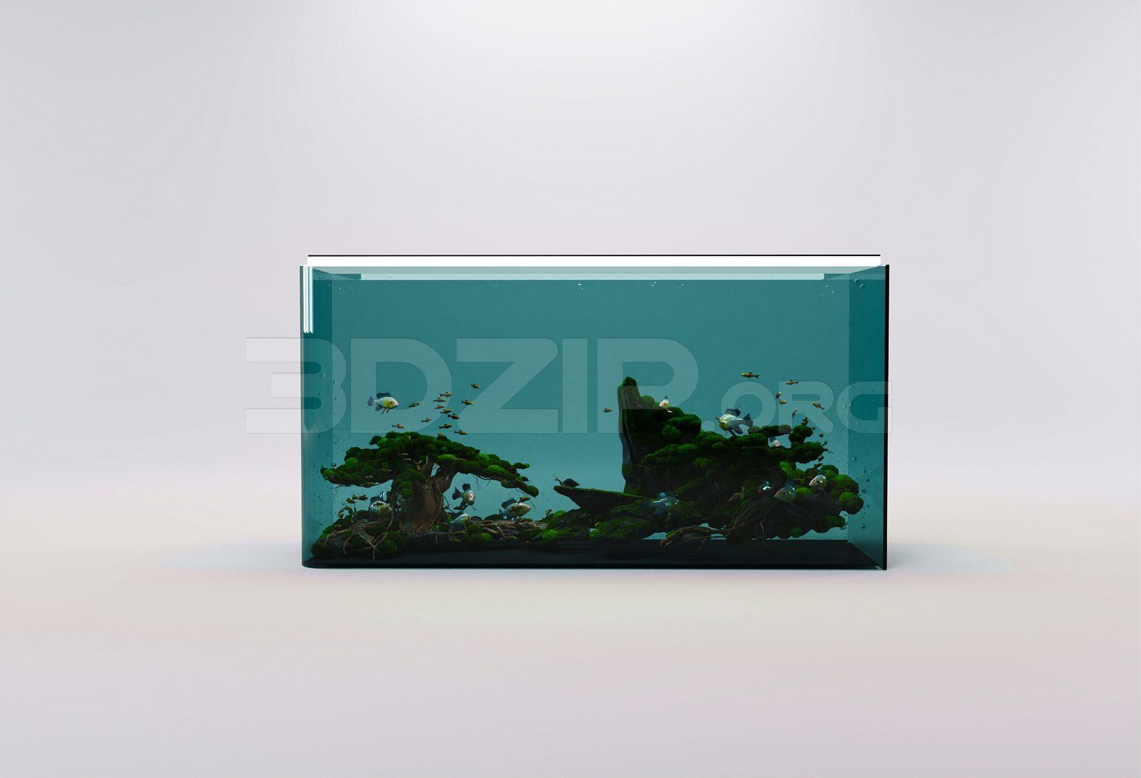 Aquarium Tank