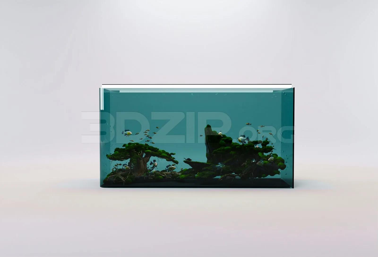 Aquarium Tank