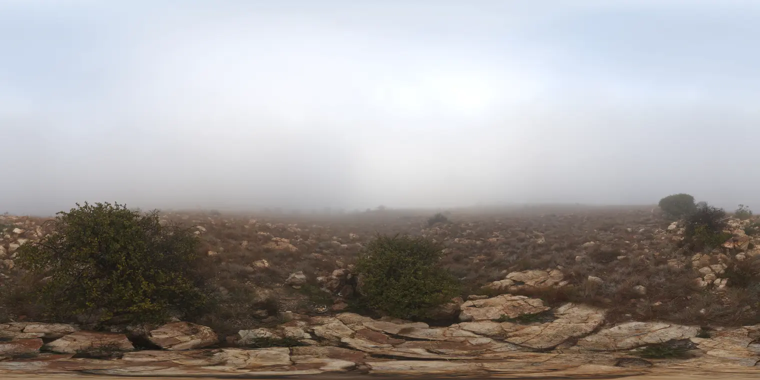 Kloofendal Misty Morning