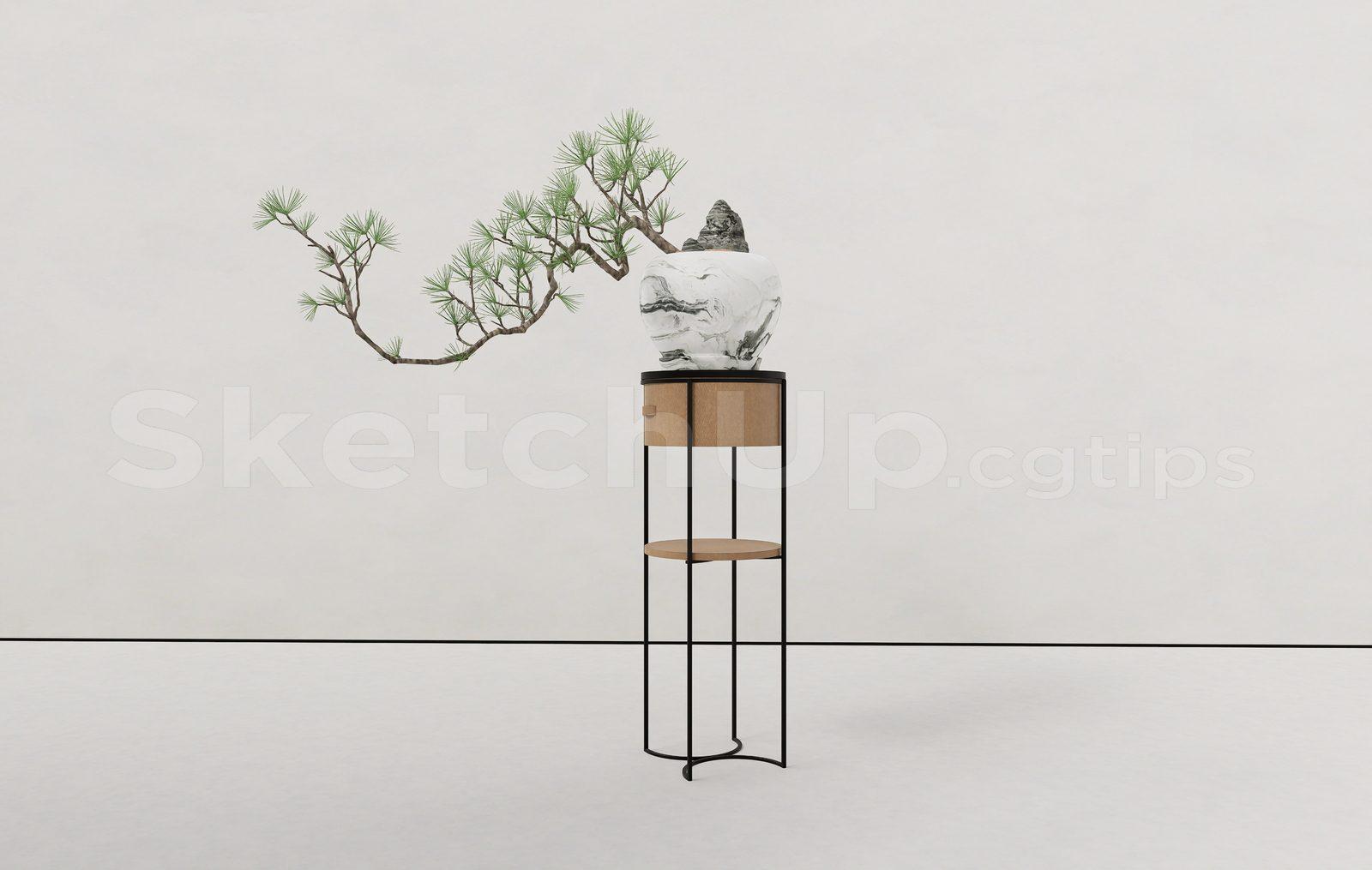 BonSai Tree