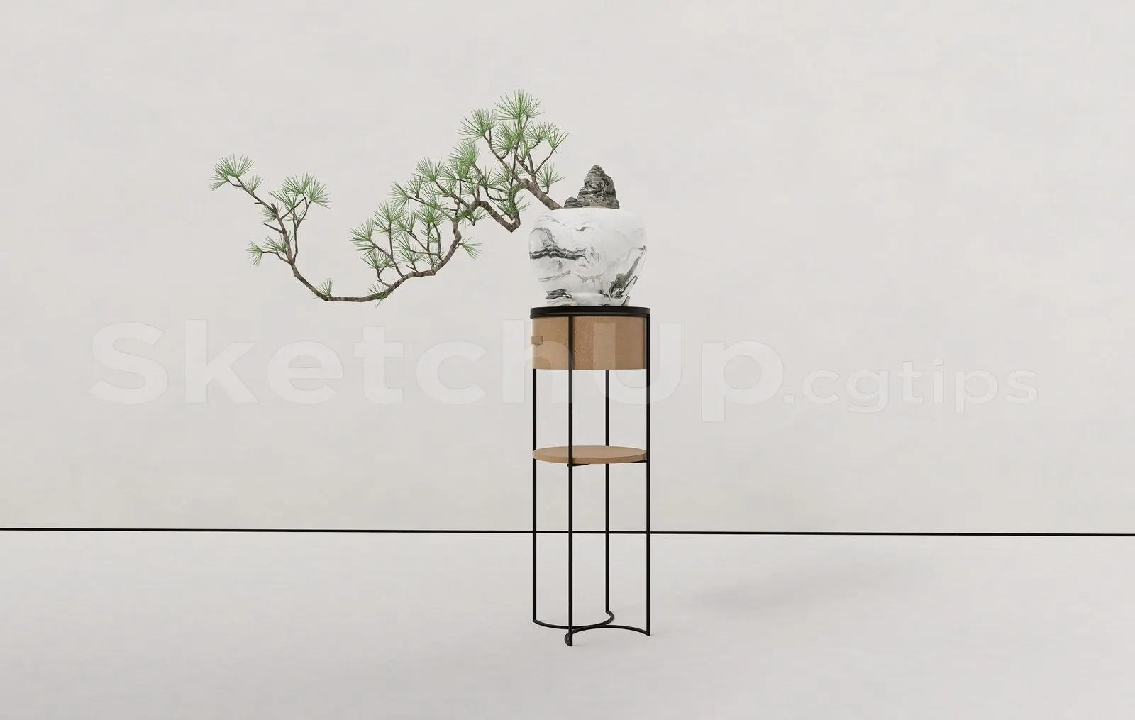 BonSai Tree
