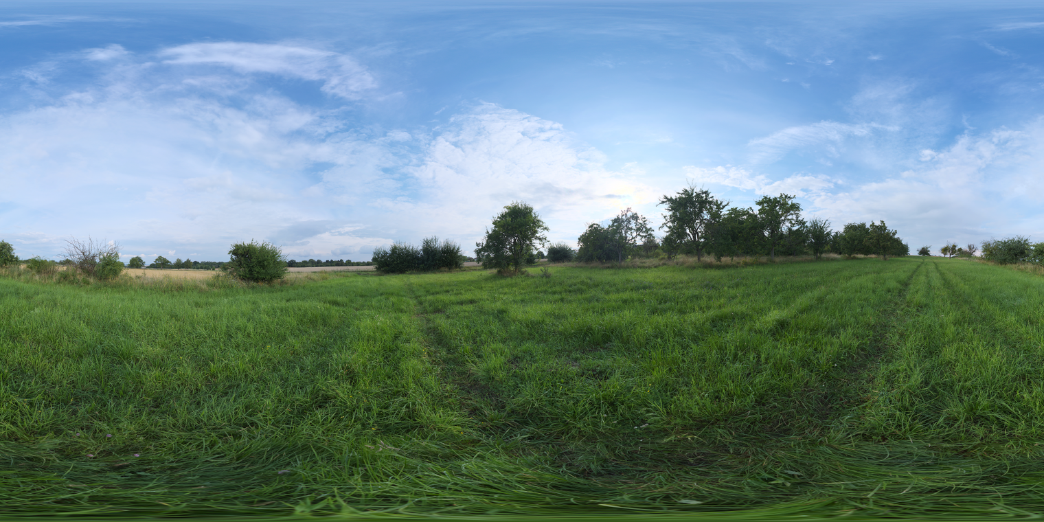 Evening Meadow