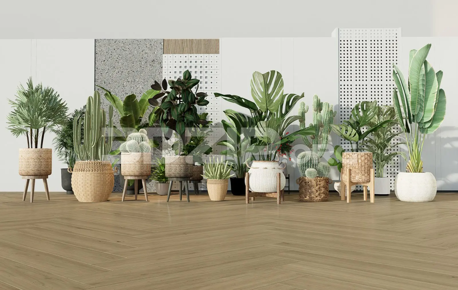 Plants