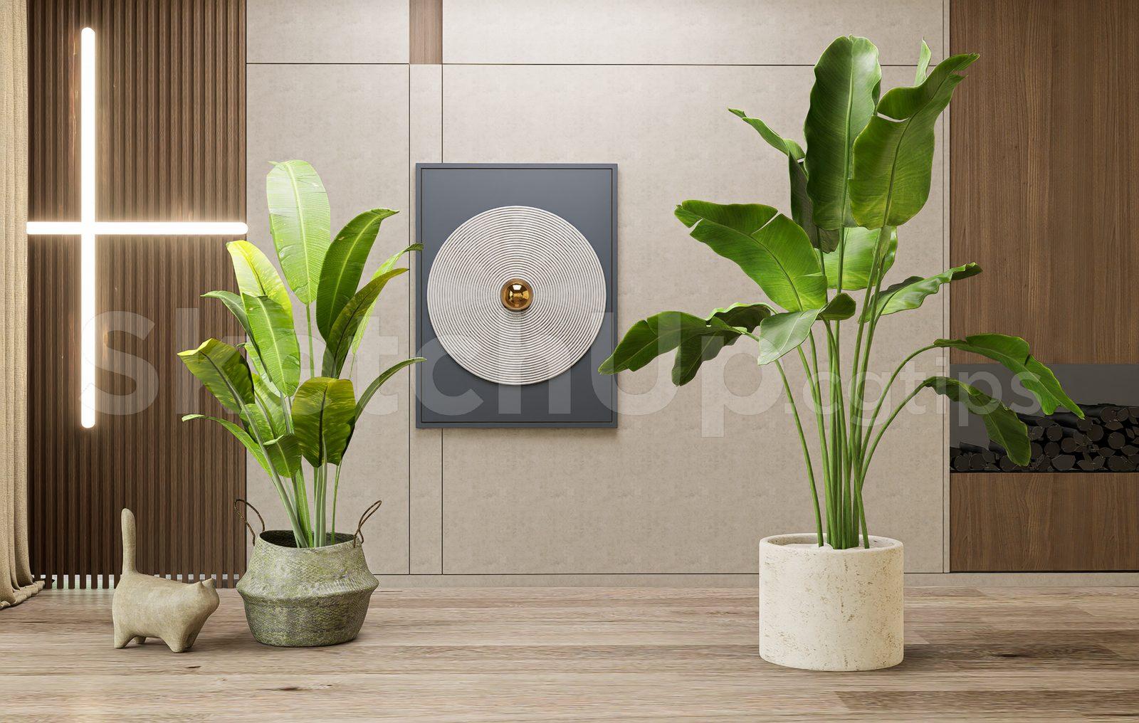 Plant