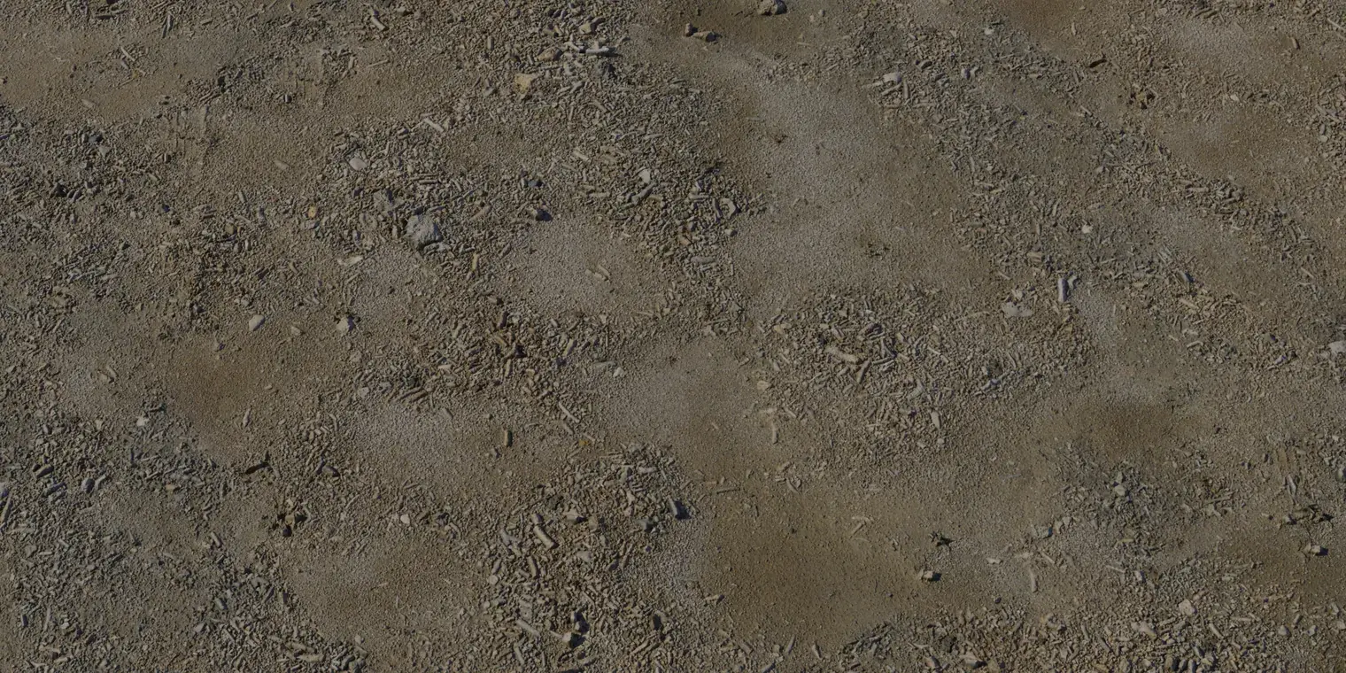 Coast Sand 4