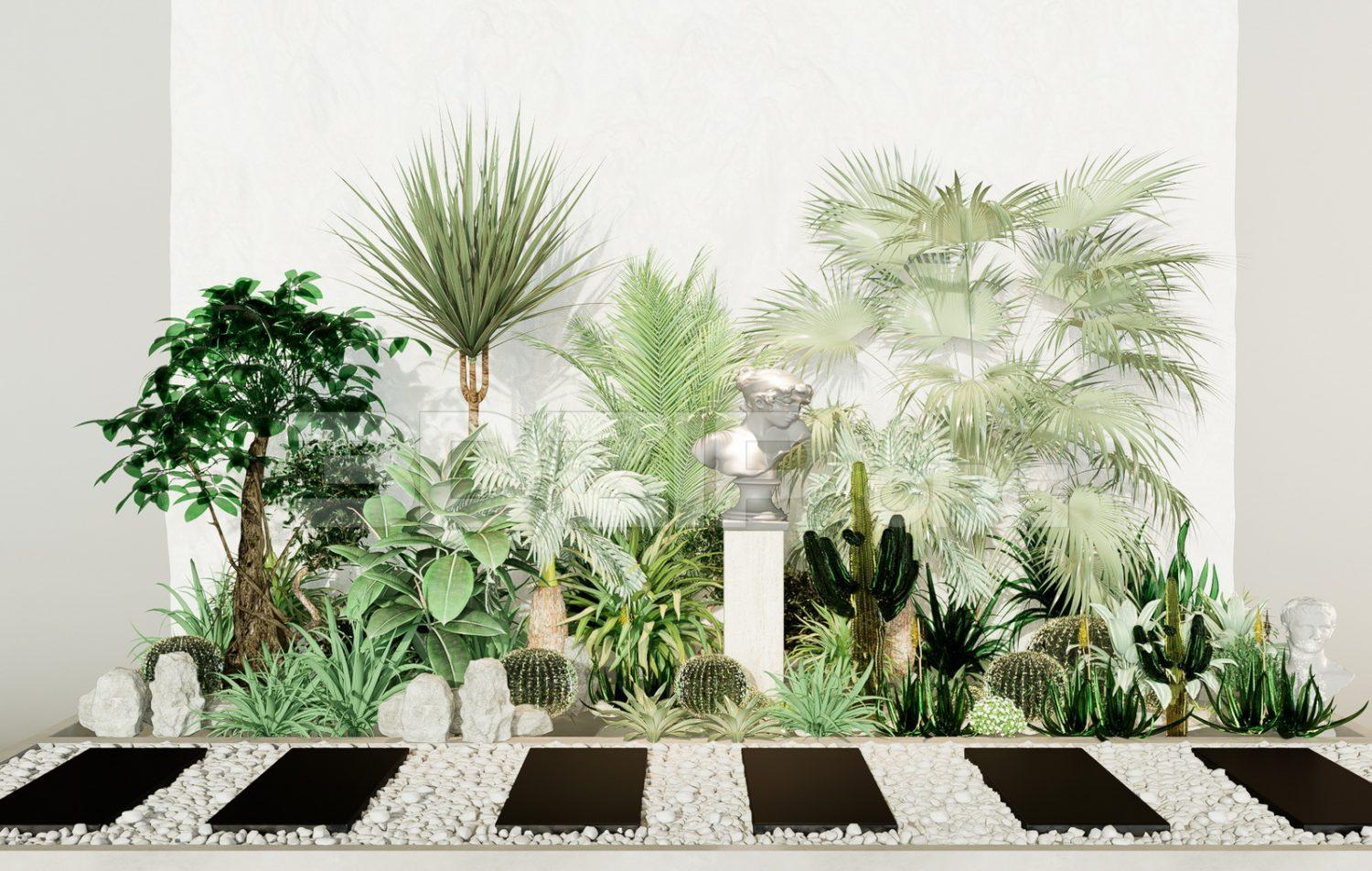 Plants