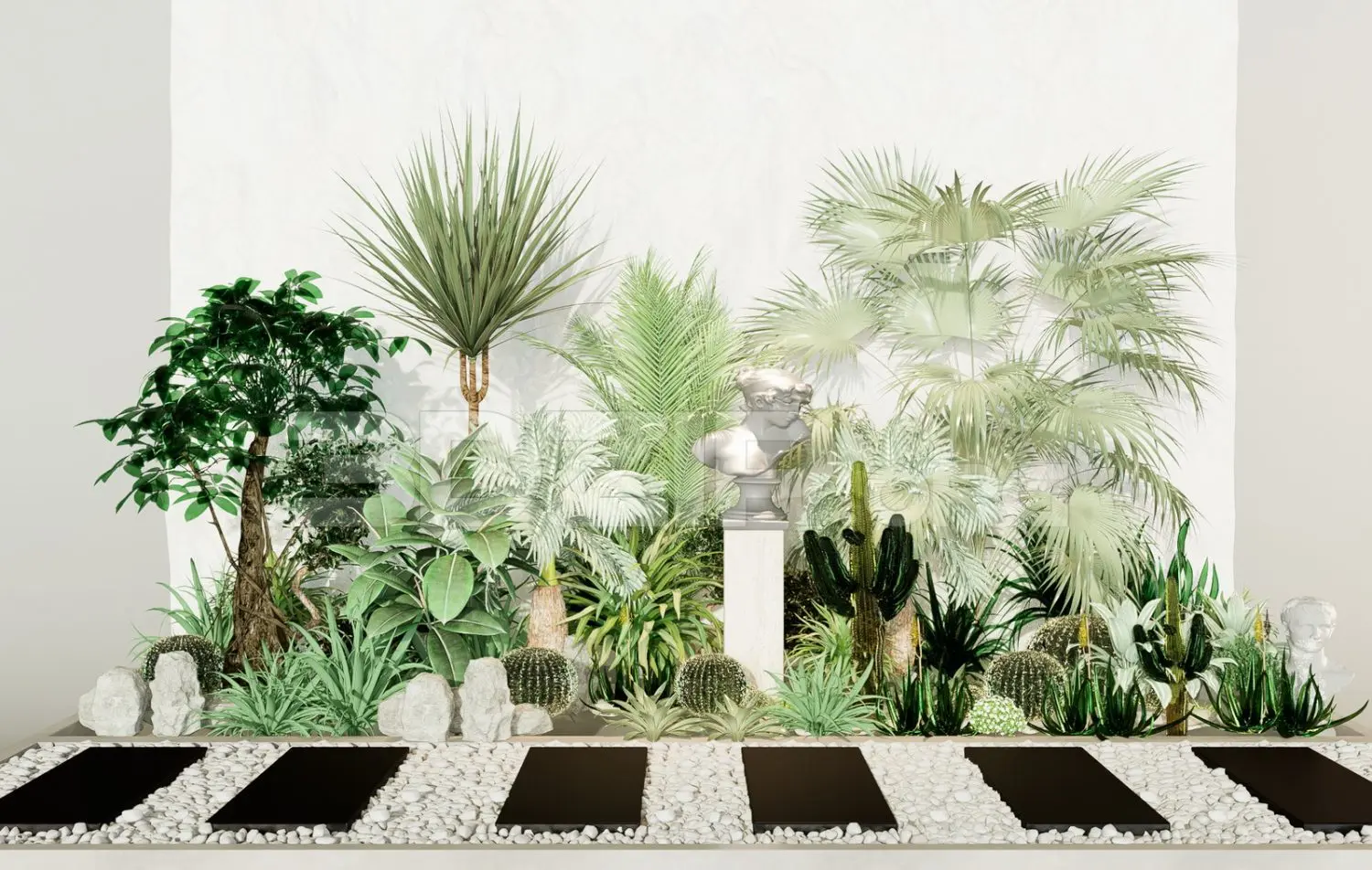 Plants