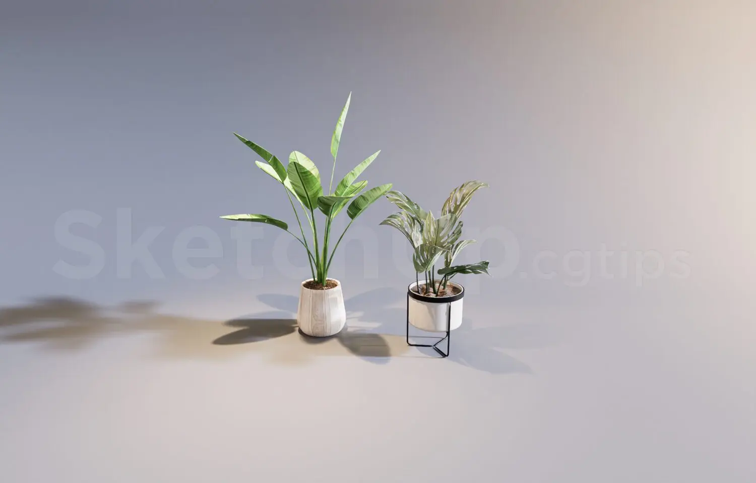 Plant — preview 1 (cgtips, CC0)