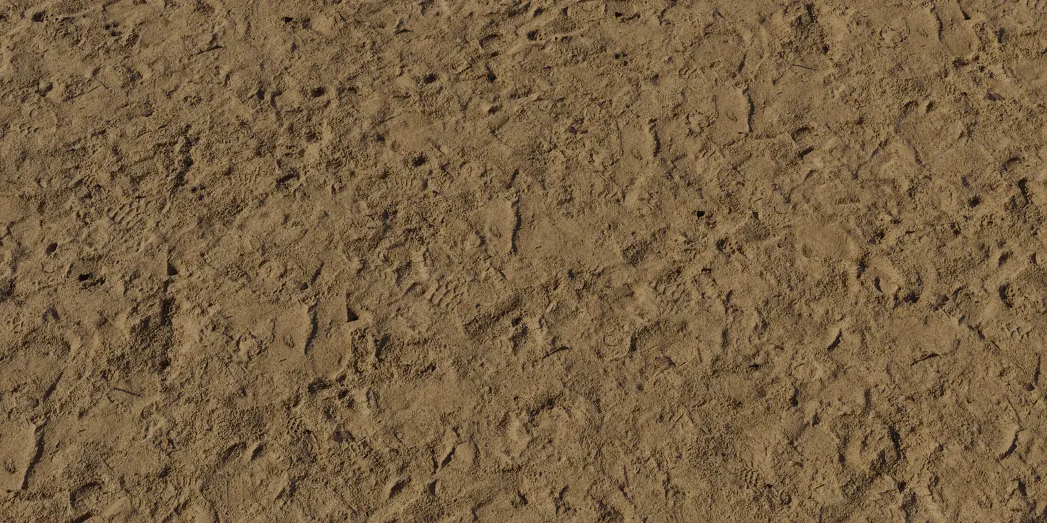 Damp Sand