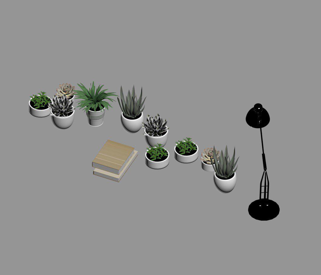 Plant