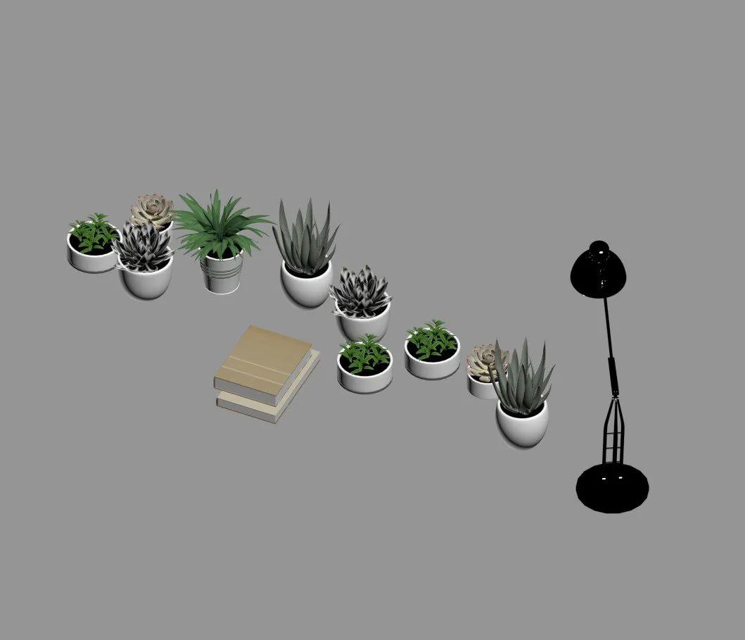 Plant
