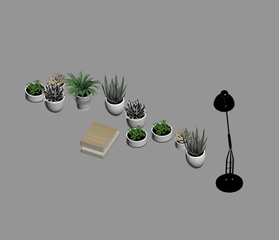 Plant