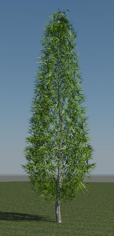 3D Pine
