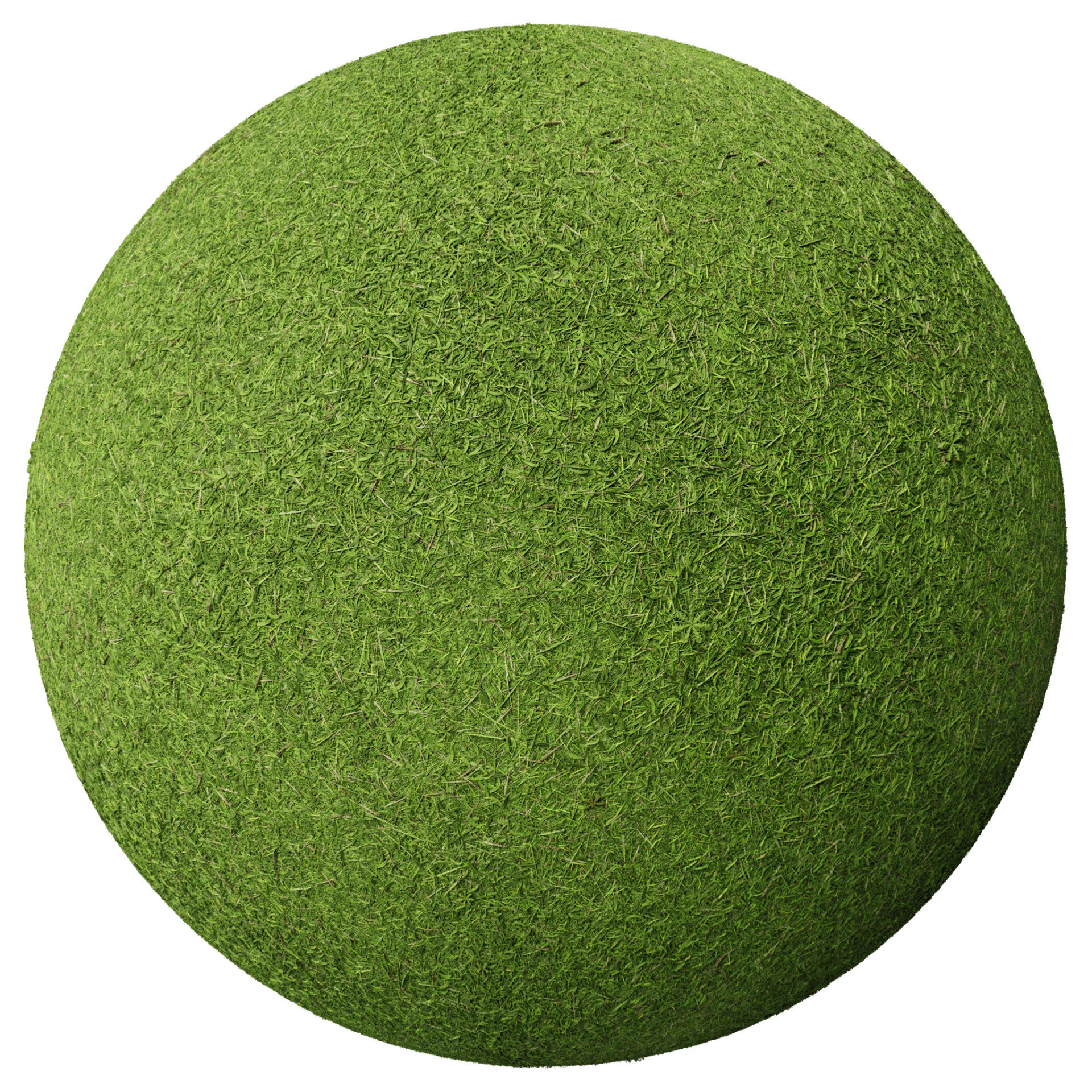 Grass 005