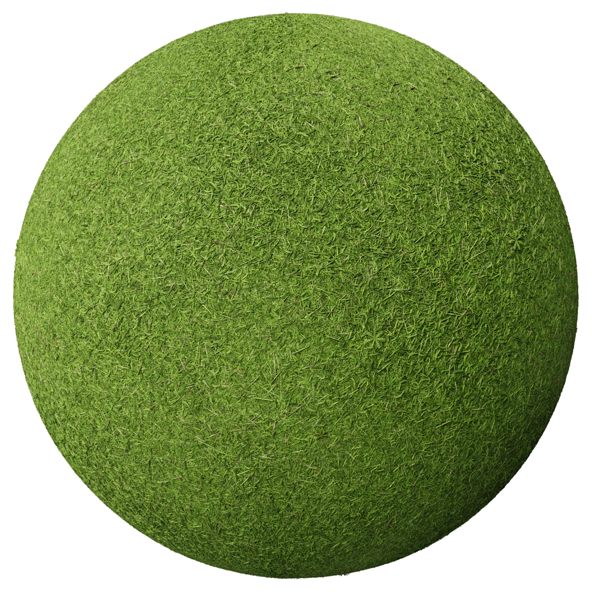 Grass 005