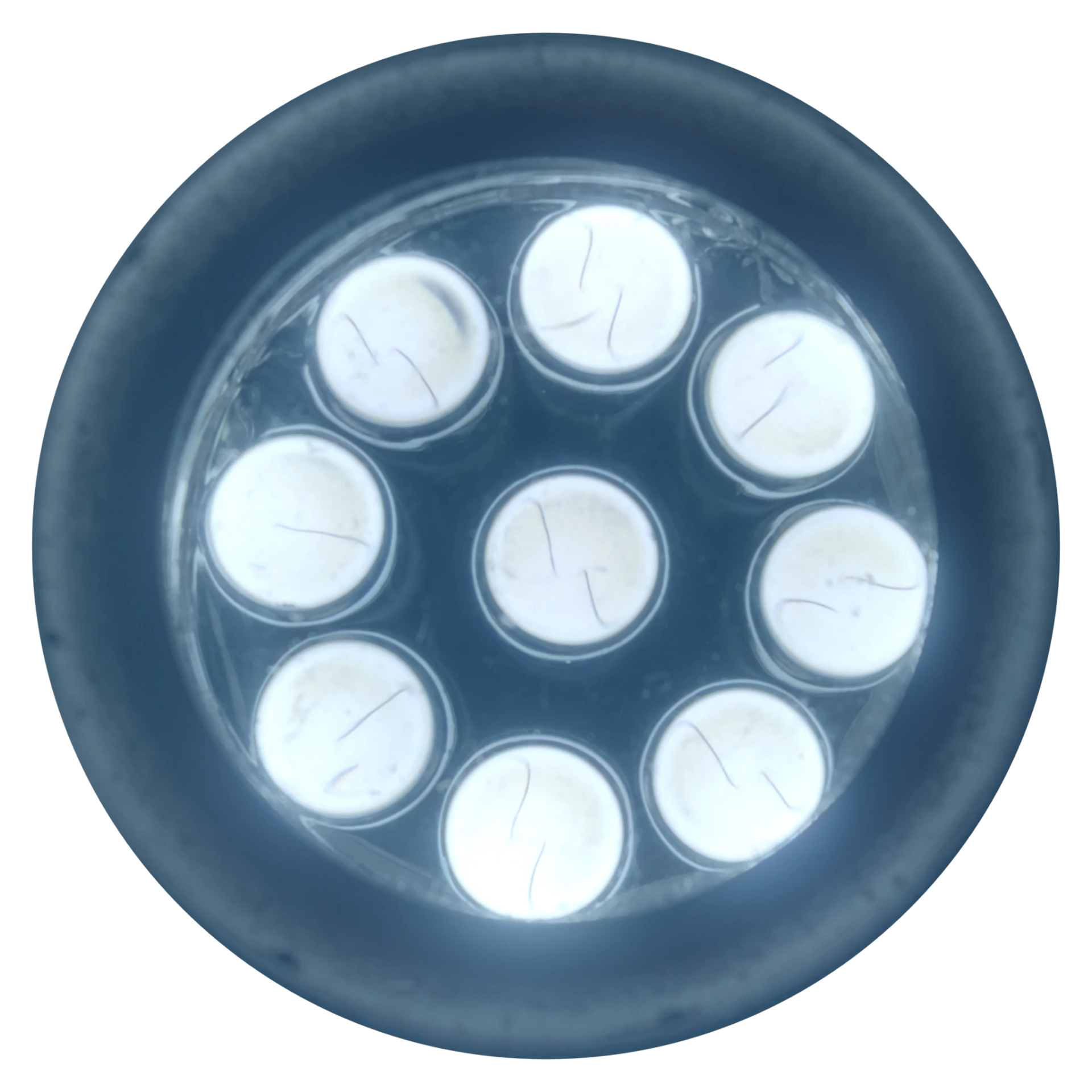 HDRI Element 002
