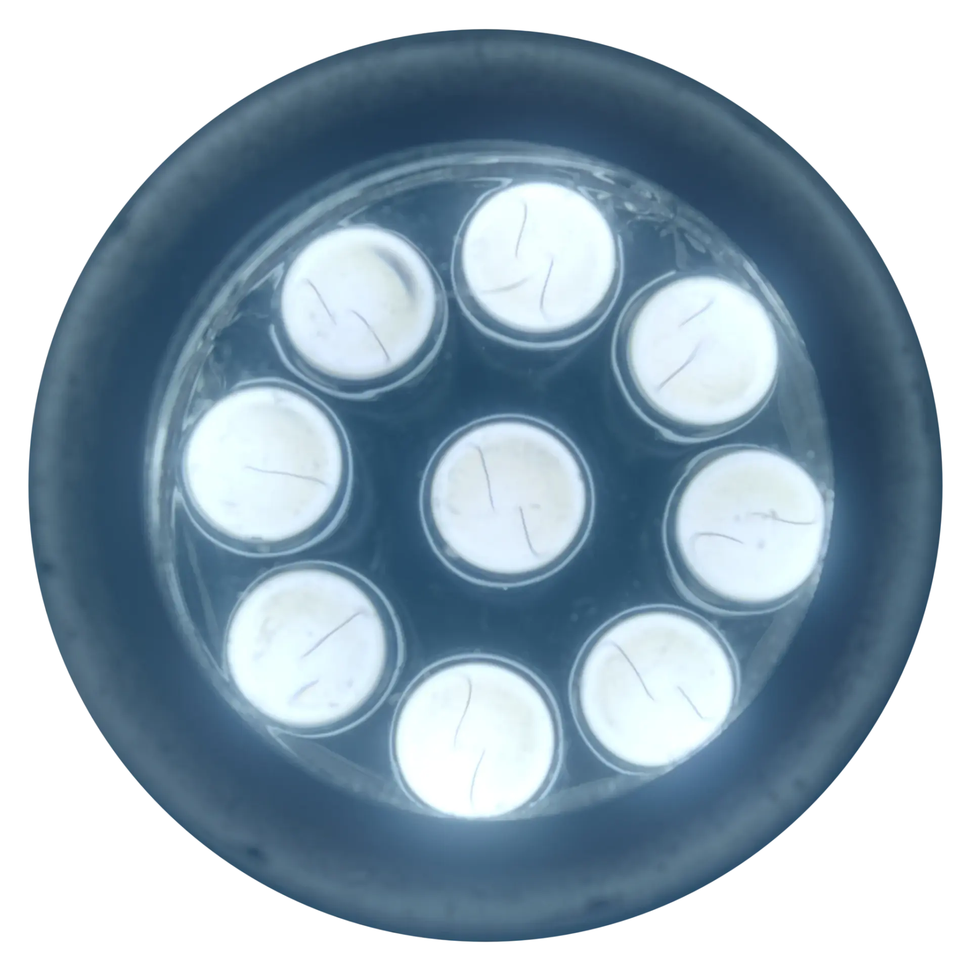HDRI Element 002