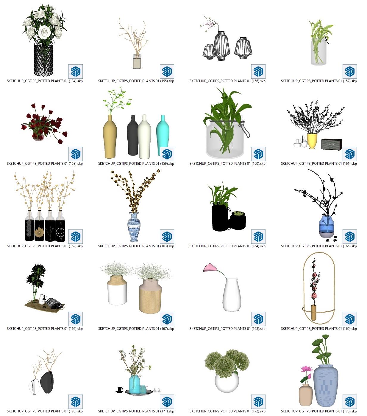 Potted Plants