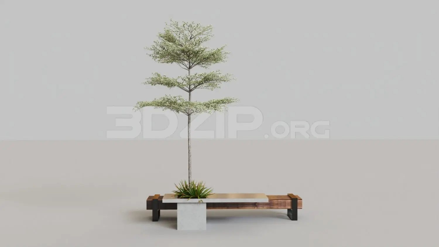 Plant