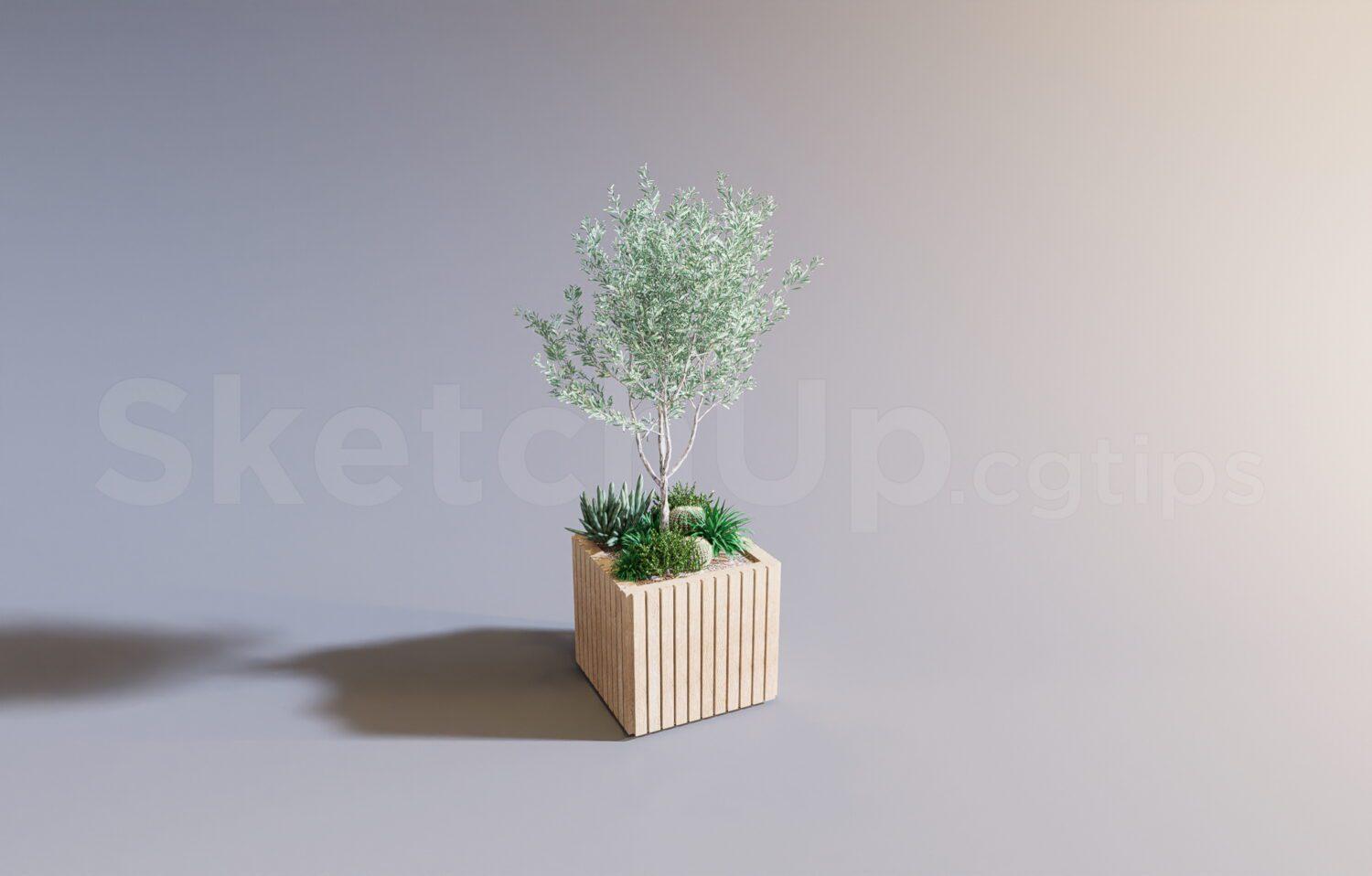 Plant