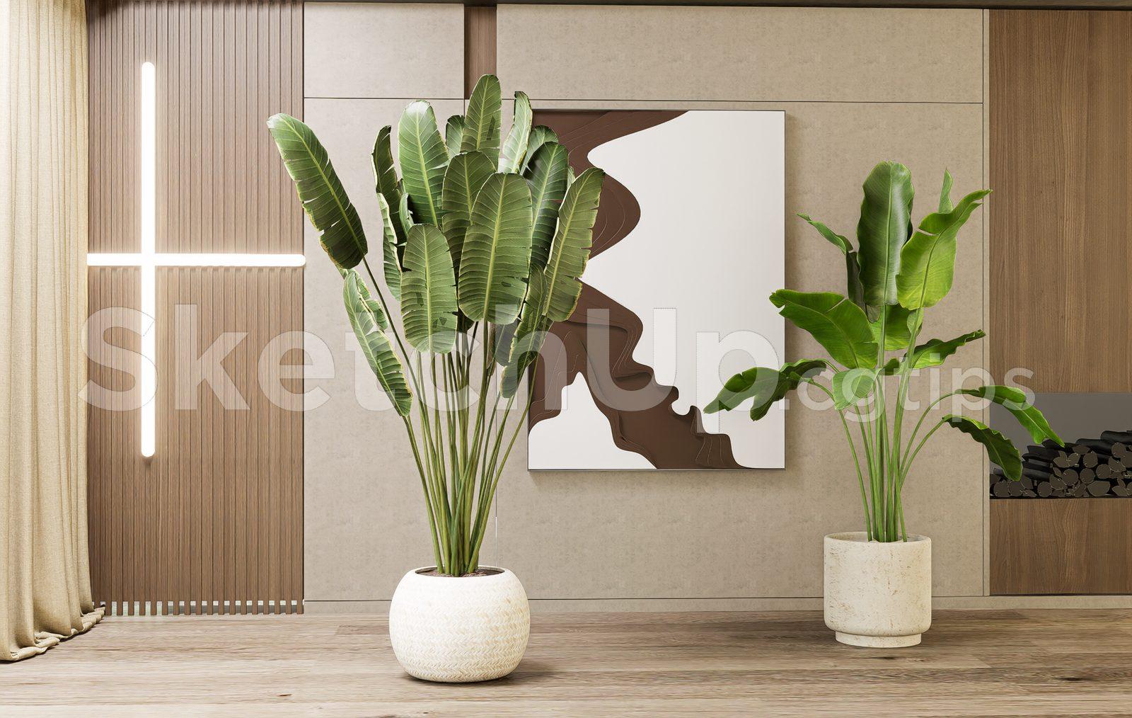 Plant