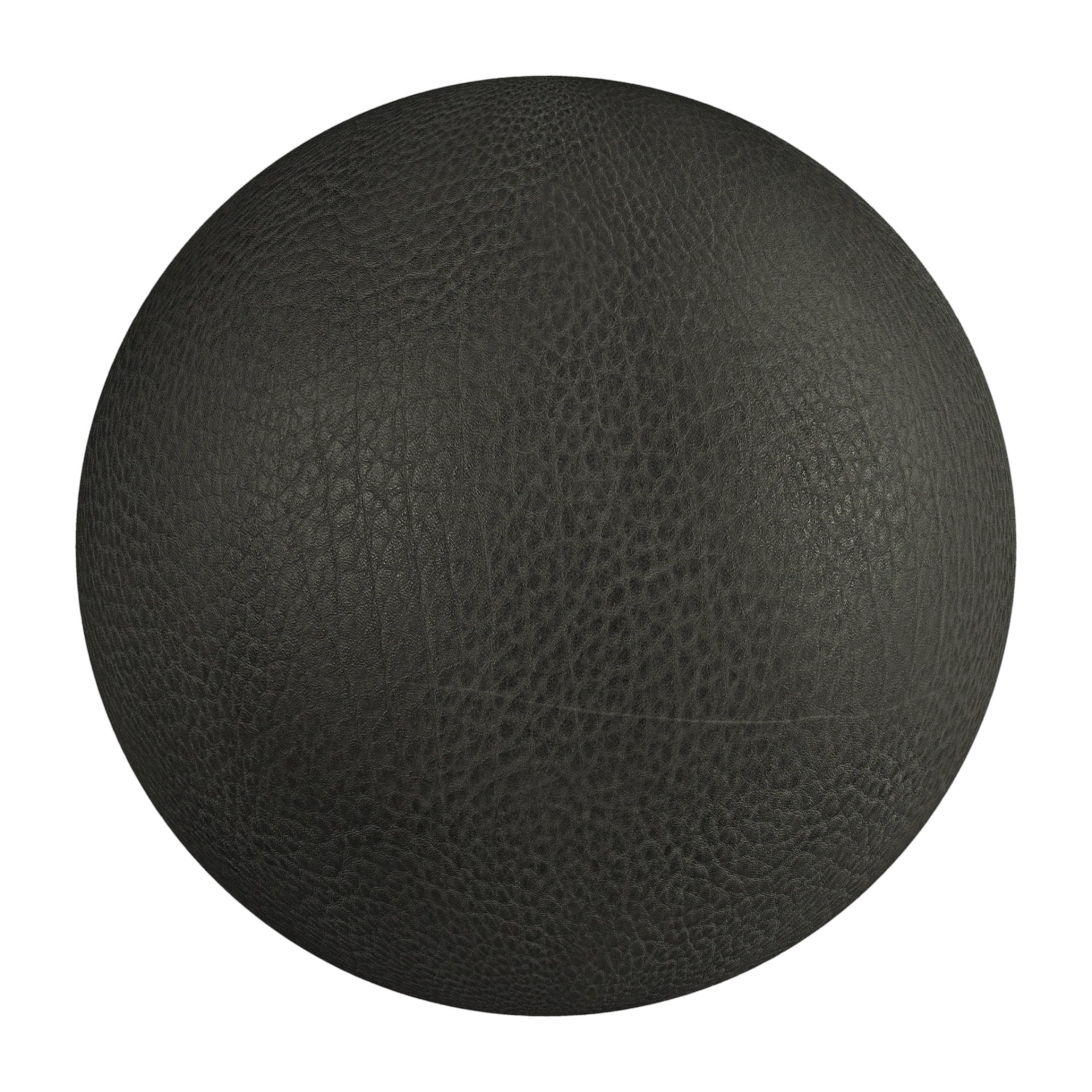 Leather 031