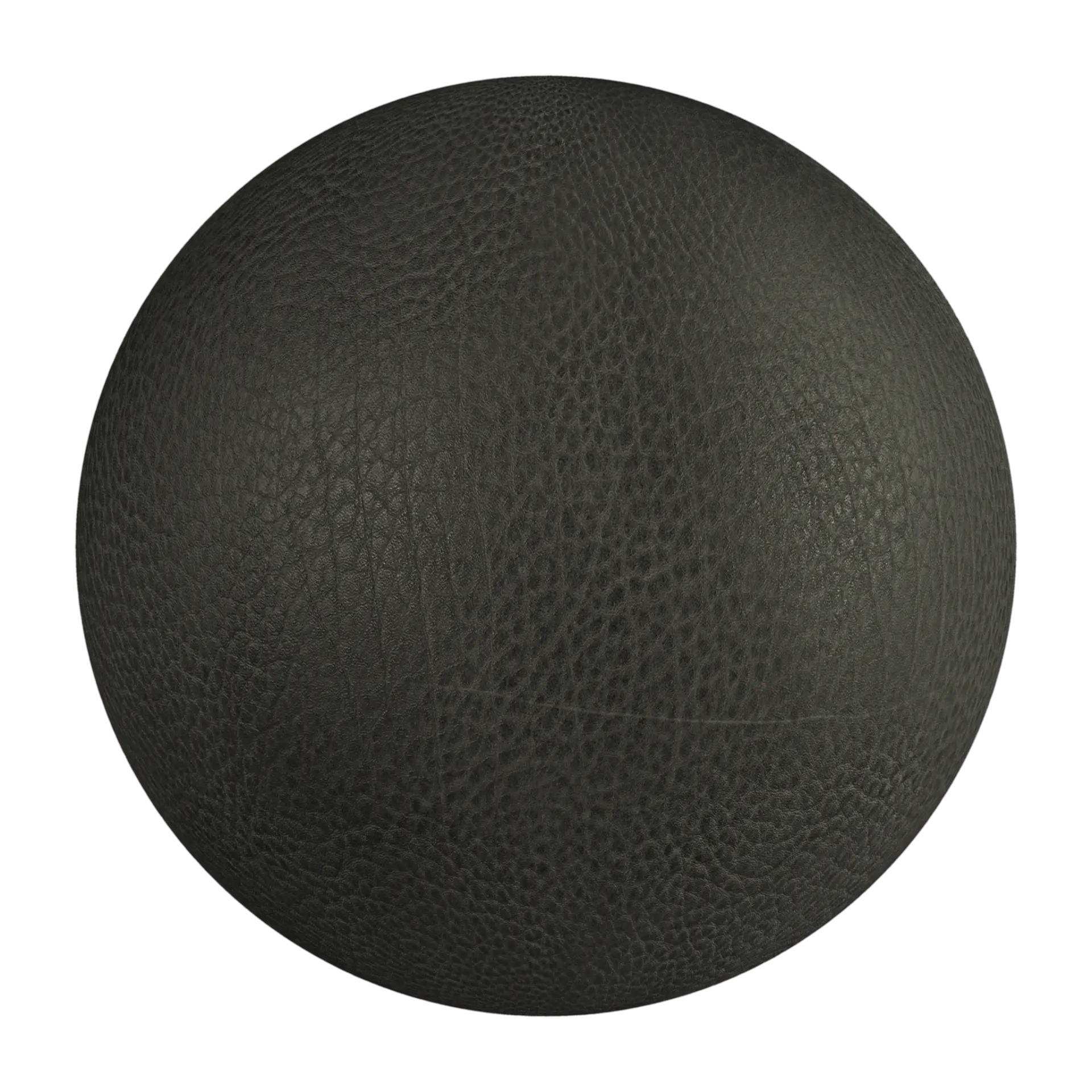 Leather 031