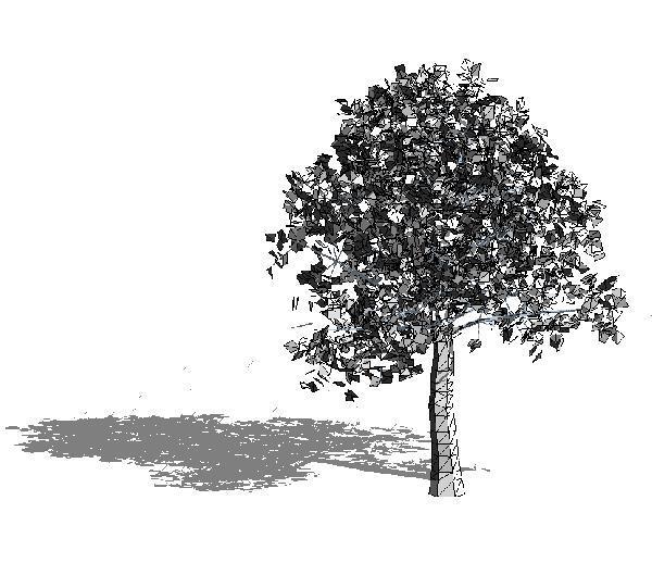 Large Detailed Tree