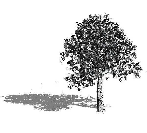Large Detailed Tree