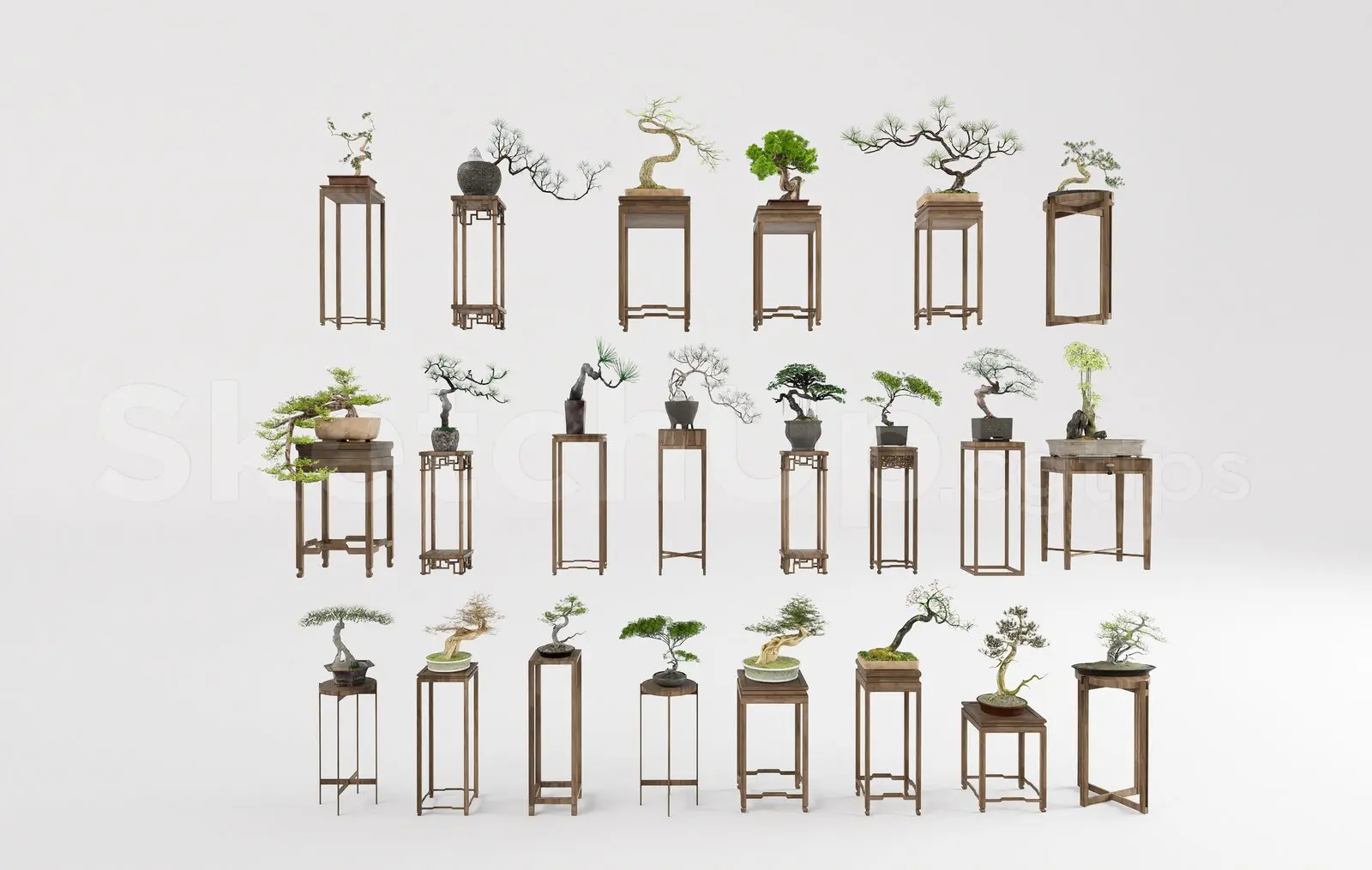 BonSai Tree
