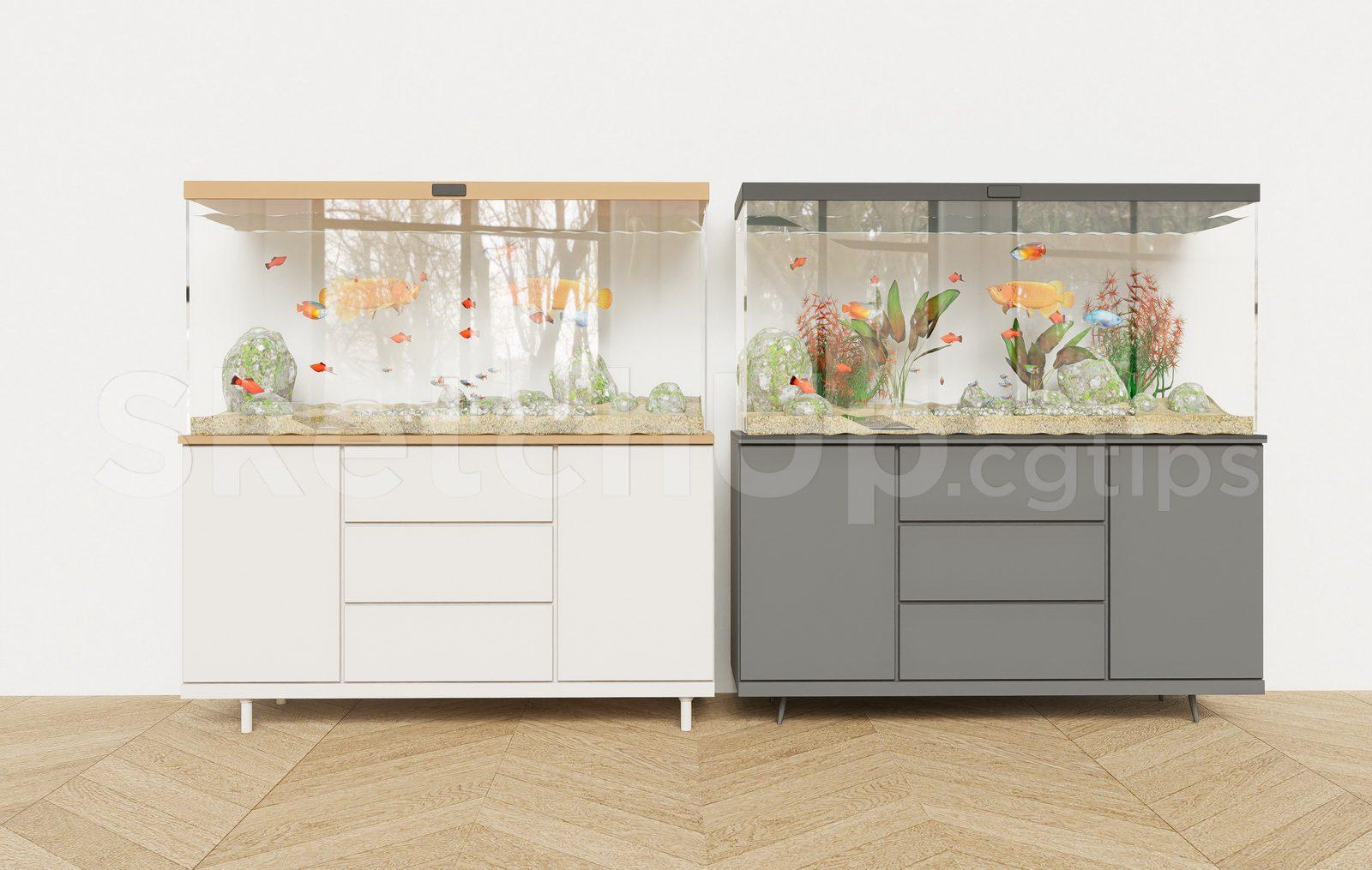 Aquarium Tank