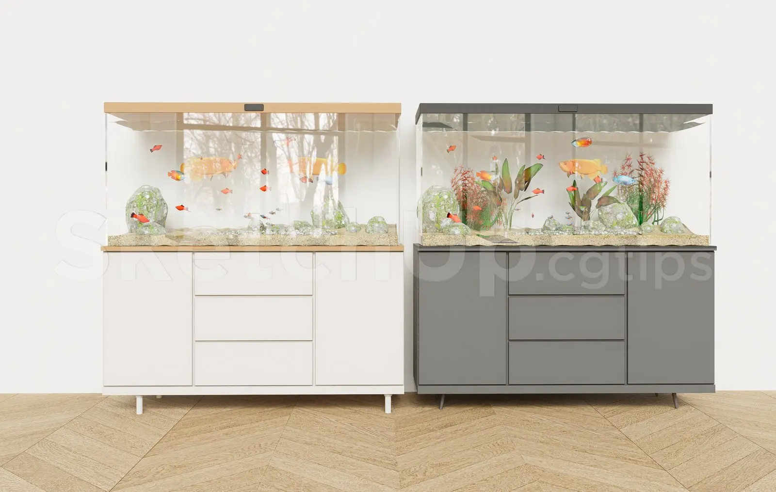 Aquarium Tank