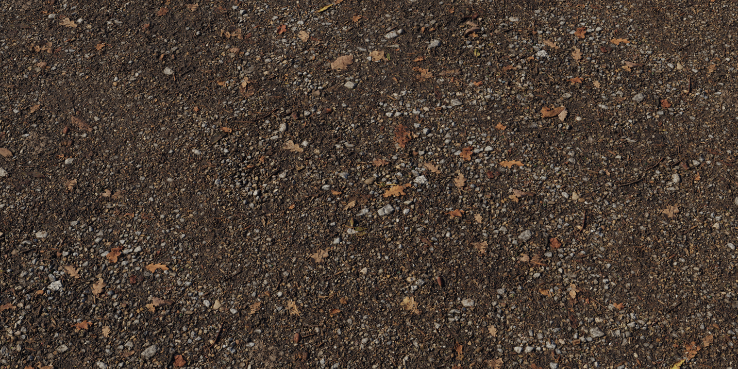 Stony Dirt Path