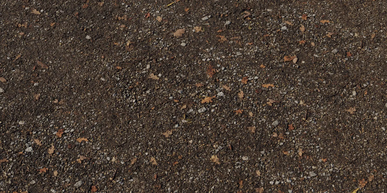 Stony Dirt Path