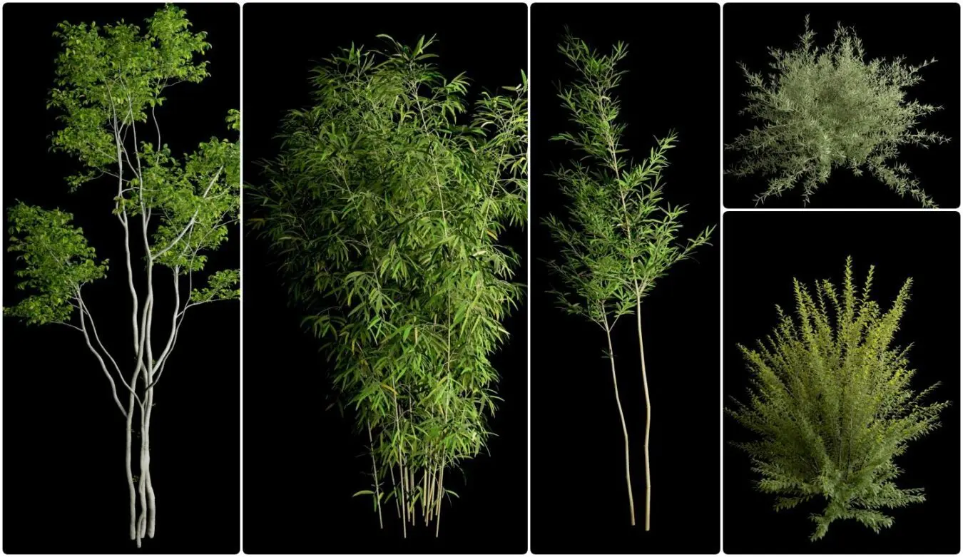 Tree Proxy — preview 1 (cgtips)