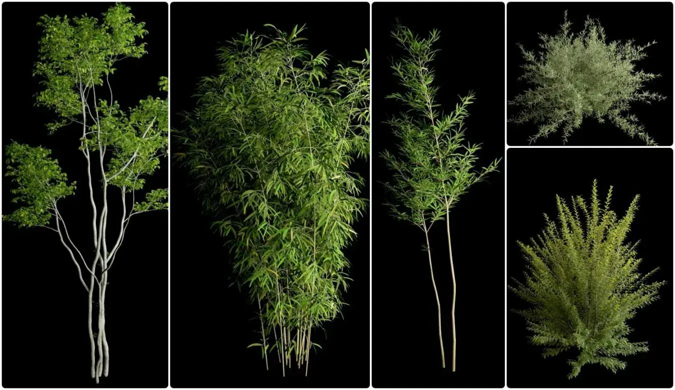 Tree Proxy