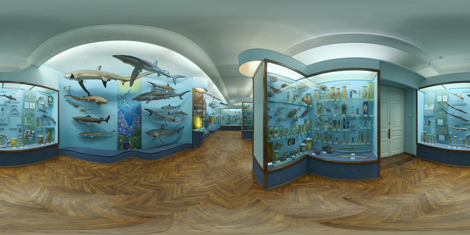 Hall Of Finfish